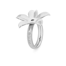 Load image into Gallery viewer, QUDO INTERCHANGEABLE BASE RING PESCIA - STAINLESS STEEL