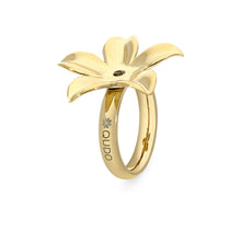 Load image into Gallery viewer, QUDO INTERCHANGEABLE BASE RING PESCIA - GOLD
