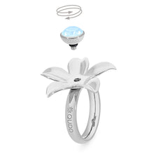 Load image into Gallery viewer, QUDO INTERCHANGEABLE BASE RING PESCIA - GOLD
